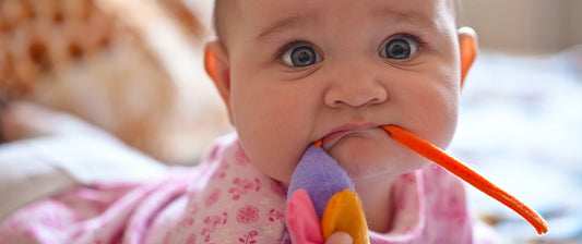  A baby with wide eyes chews on colorful fabric toys, exploring textures during the oral sensory phase.