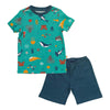 Organic Short Children's Pyjamas