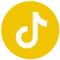 TikTok Icon